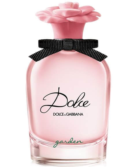 dolce and gabbana nomen